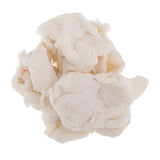 Max Dehydrated Pulp of Paper Mulberry for Handcraft Handmade Paper Arts Crafts