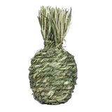 Maxbell Small Animals Chewing Balls Tooth Cleaning Tool Pet Cage Accessories for Bunny Pineapple