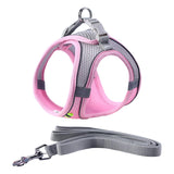 Maxbell Dog Harness with Leash Set for Small Medium Large Dogs Outdoor Night Walking