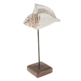 Max Durable Resin Crafts Shell Ocean Figurine for Home Desktop Ornaments A