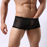 Maxbell Mens Sexy Sheer See Through Stripe Boxer Briefs Underwear Panties Black M