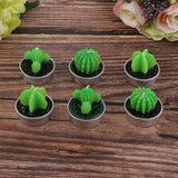 Max 6 Pieces Cactus Tealight Candles Handmade Delicate Succulent Cactus Candles