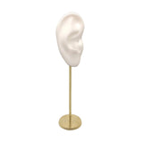 Maxbell Earring Display Stand Human Ear Model Stud Holder Showcase Jewelry Organizer Right Ear White