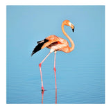 Maxbell 1 Set Daimond Painting Kit Lovely Animal Picture for Wall Decor Flamingos