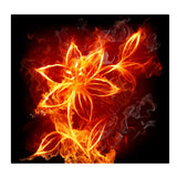 Maxbell 5D Diamond Embroidery Painting Cross Stitch Kit Animal for Home Decor Spark