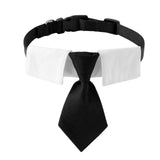 Maxbell Modern Dogs Collar Walking Traveling Pets Gifts Boys Girls Dogs Pet Bow Tie Black