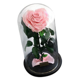 Max Heart-shaped Rose Preserved Flowers Glass Cover with Gift Box Pink
