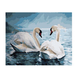 Maxbell DIY Paint By Numbers Kit Canvas Oil Painting Art Crafts  Two Swans