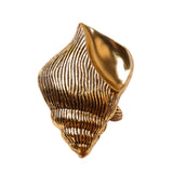 Maxbell Napkin Rings Adornment Sea Animal Delicate for Thanksgiving Favors Decor Shell