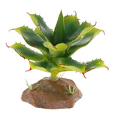 Max Succulent Plant with Resin Base Reptile Terrarium Vivarium Ornament 5