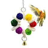 Maxbell Bird Toy Conure Foraging Hanging Toy for Small Medium Parrots  Type 1