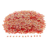 Max 100g Shell Loose Sequins Paillettes for Wedding Scrapbooking Craft 6x8mm  7