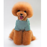 Maxbell Dog Shirts Striped Dog T-Shirt Puppy Clothes Small Medium Large Dogs Green-S