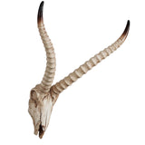 Maxbell Resin Long Horned RAM Decor Skull Wall Mount Skull Decor for Home Office E 48x35x22.5cm