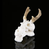 Max Maxb Resin Dragon Skull Aquarium Ornament Fish Tank Reptile Terrarium Aquascaping