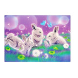 Maxbell 1 Set Beautiful Diamond Paniting Kit Cross Stitch Picture Handcraft Rabbit