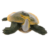 Maxbell Simulation Animal Model Figure Toys Figurine Home Decor Soft-shelled turtle