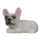 Max Small French Bulldog Model Animal Figure Toy for Home Decoration 02