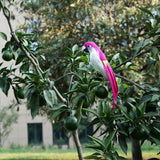 Maxbell Simulation Artificial Feathered Parrot Bird Animal Model Toy Home Decor D