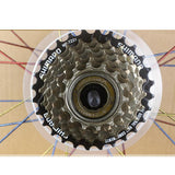 Maxbell Bicycle Bike Wheel Spoke Protector Guard Cassette Freewheel Protection 165mm