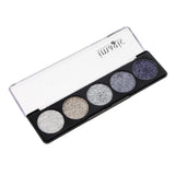 Max 5 Color Glitter Eyeshadow Powder Eye Shadow Cosmetic Palette Shimmer Set #01