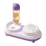 Maxbell Drinking Fountain Practical Tilted Cat Food Bowl for Rabbit Small Medium Dog Violet