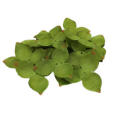 Maxbell Artificial Leaves Green Leaves Greenery for DIY Bridal Shower Backdrop