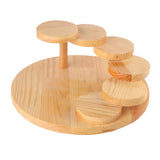 Maxbell Sushi Serving Tray Succulent Holder Cup Cake Plate for Christmas Party Round
