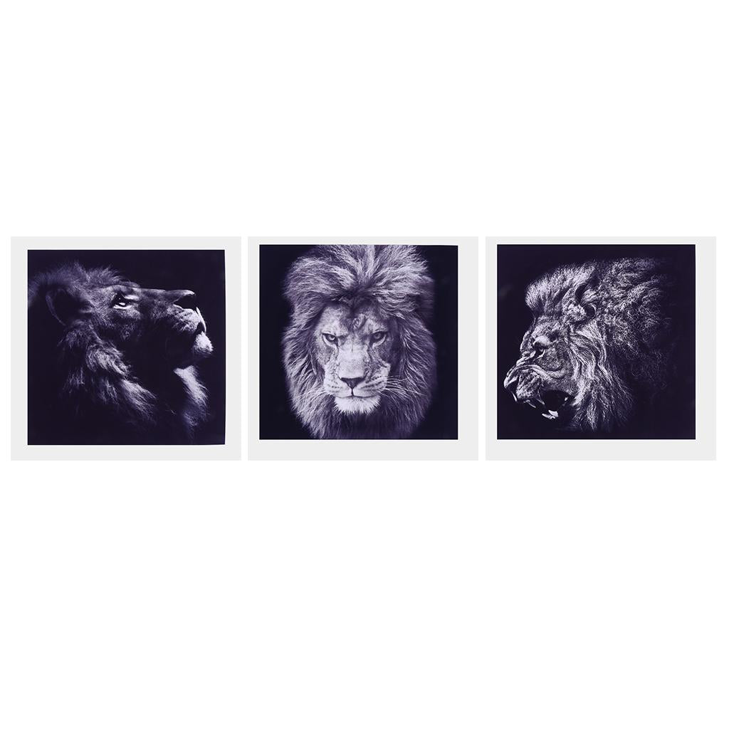 Maxbell 3 Panel Canvas Oil Painting, Artwork Picture Wall Art Decor Hanging Poster, Home Chic Decor - Lion