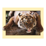 Maxbell DIY 5D Diamond Embroidery Painting Tiger Cross Stitch Art Kit Tigger Stone