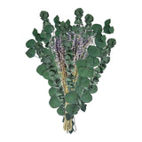 Maxbell Eucalyptus Lavender Flowers Bundle Plant for Office Decorations Dining Room