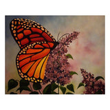 Maxbell 5D DIY Diamond Painting Animal Mosaic Picture for Home Wall Decor Butterfly