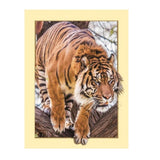 Maxbell DIY 5D Diamond Painting Embroidery Cross Stitch for Home Decor Tiger 1