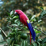 Maxbell Simulation Artificial Feathered Parrot Bird Animal Model Toy Home Decor A