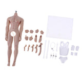 Max 1:6 Full Silicone Super Flexible Male Seamless Muscular Body General Skin