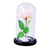 Maxbell dome With Rose Flower Microlandscape Centerpiece Pink