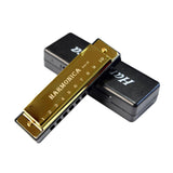 Maxbell Blues Harmonica Diatonic Harp Mouth Organ 10 Hole Musical Instrument Golden