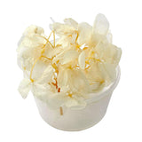 Maxbell UV Artificial Flower for DIY Nail Beauty 10 Colors White
