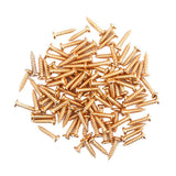 Maxbell 100 Pieces Tuning Peg Tuner Mounting Screws for Guitar Bass Golden