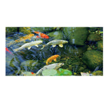 Max 3D Wall Sticker Self Adhesive Tile Wall Sticker DIY Floor Decor Fish