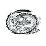 Maxbell Aquarium Background Fish Tank Reptile Vivarium Wallpaper Dragon L
