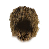 Maxbell Afro Curly Wigs Heat Resistant Full Wigs with Bangs for Daily Wedding Work Aureate