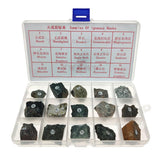 Max Igneous Rock Specimen Igneous Real Stone Teaching Aid w/ Box Ages 8 up