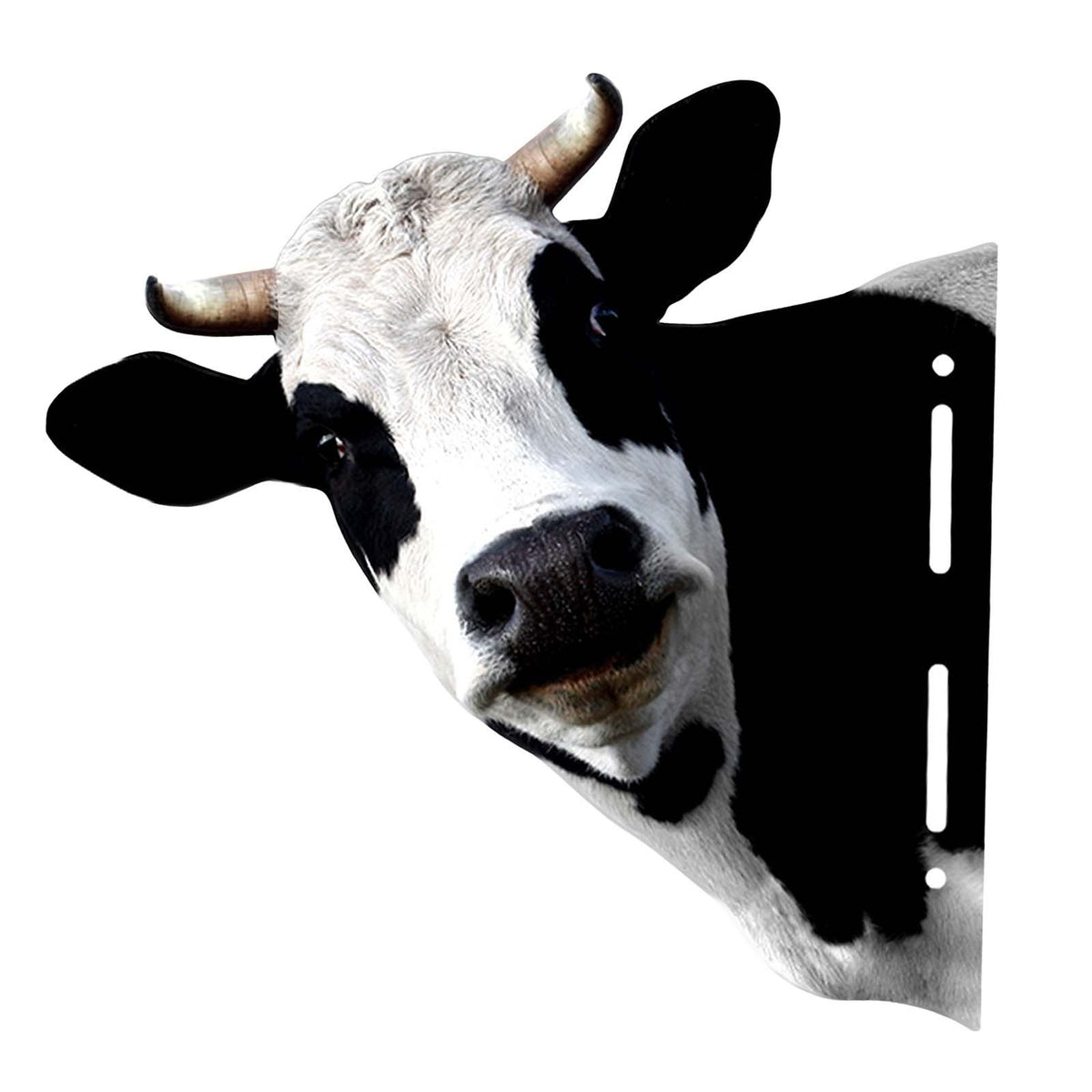 Maxbell Animal Heads Art Sculpture Artwork for Dining Room Wall Hanging Centerpiece Cow