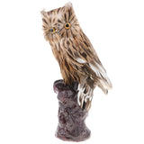 Maxbell Simulation Forest Bird Animal Model Figurine Kids Toy Home Decor - Brown Owl