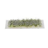 Max Maxb Miniature Flower Vegetation Groups Military Model Stage DIY Material White