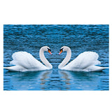Maxbell DIY 5D Diamond Embroidery Painting Cross Stitch Kit Animal Decor Swan