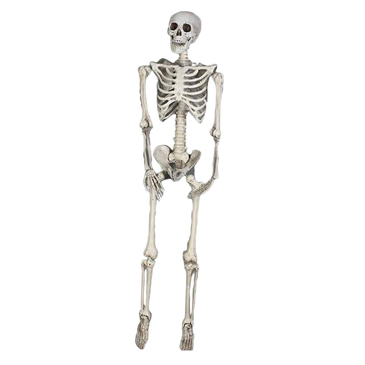 Maxbell Halloween Skeleton Faux Human Skeleton Decorations for Home Indoor Party