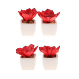 Max Artificial Succulent Plant Potted Cactus Lotus Aloe Miniature Plant 4Pcs #9