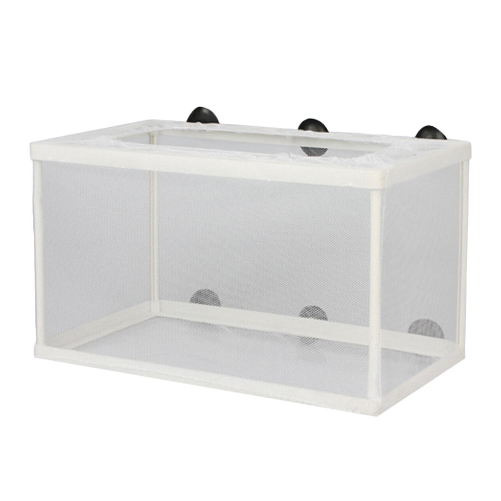 breeding box for fish india ⚡️Buy Maxbell Fish Breeder Box Aquarium Breeding Isolation Net for Newborn Fry Guppy at the best price with offers in India. Maxbell Fish Breeder Box Aquarium Breeding Isolation Net for Newborn Fry